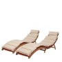 Комплект шезлонги и столик AFM-803A-T133 Beige (2+1) фото