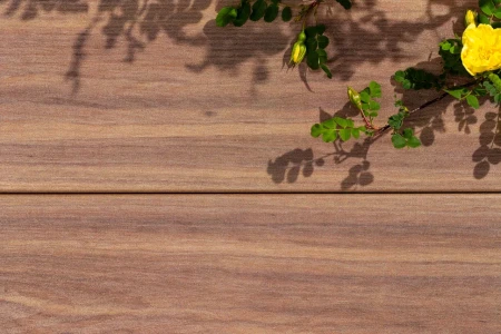 Пластиковая композитная доска Polivan ПИОНЕР КАНДИДАСА 145х2х5800 мм, spotted gum, за м.пог