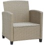 Плетеный комплект мебели с диваном AFM-804B Beige фото